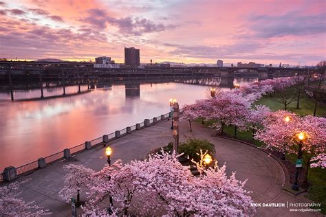 Why You Should Start Shooting Landscapes During Golden Hour - CaptureLandscapes