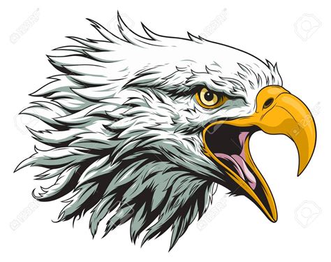 bald eagle head clipart 20 free Cliparts | Download images on Clipground 2024