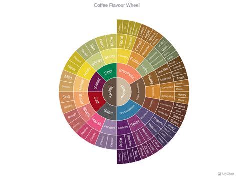 Coffee Flavour Wheel | Sunburst Charts