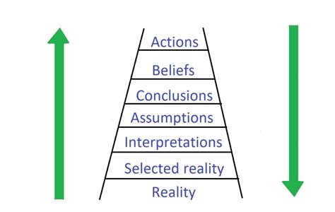 Ladder of inference explained (With example)