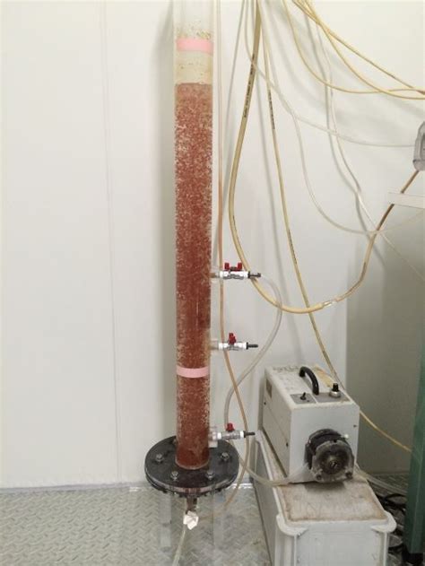 Anaerobic Ammonium Oxidation - Civil Structural & Environmental ...