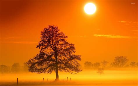 Morning Mist Glowing Sunrise Wallpapers - Wallpaper Cave