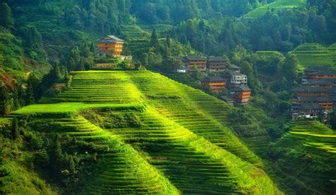 Foliage forest hills fields trees village town asian rice farm ... | Farm village, Rustic ...