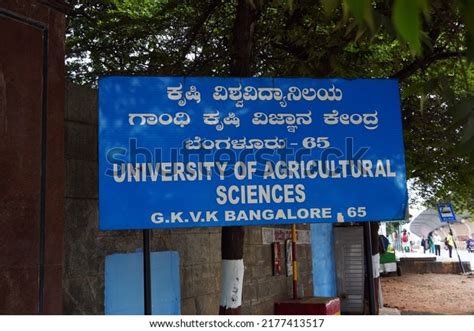 6 Bangalore University Logo Images, Stock Photos & Vectors | Shutterstock