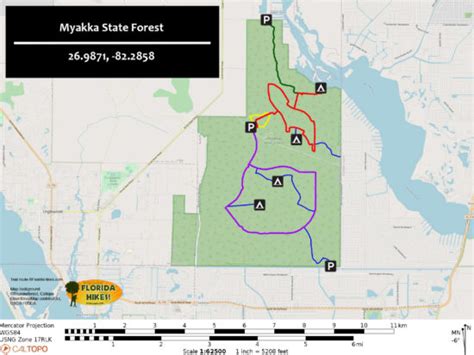 Myakka State Forest – Florida Hikes