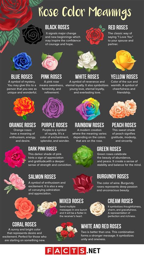 Rose color meanings, Color meanings, Flower meanings