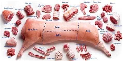 Pin on Meat Charts