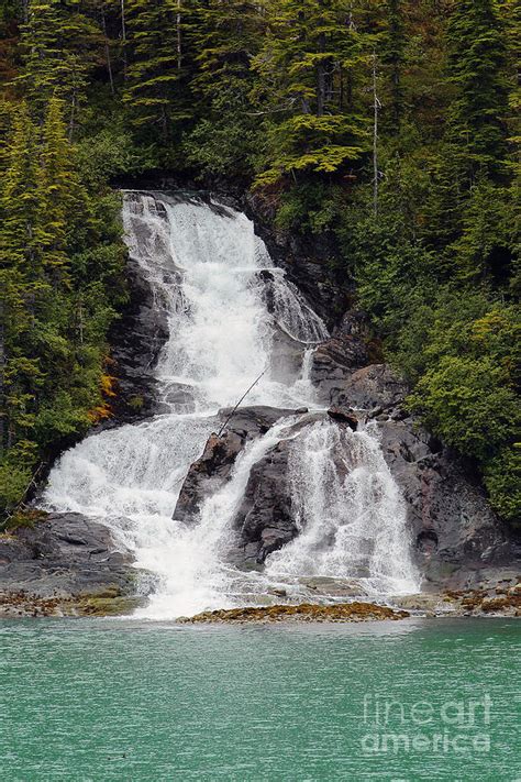 Endicott Arm Waterfall Photograph by Marland Howard - Fine Art America