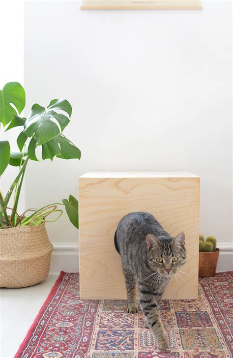 DIY cat house — Caroline Burke | Burkatron