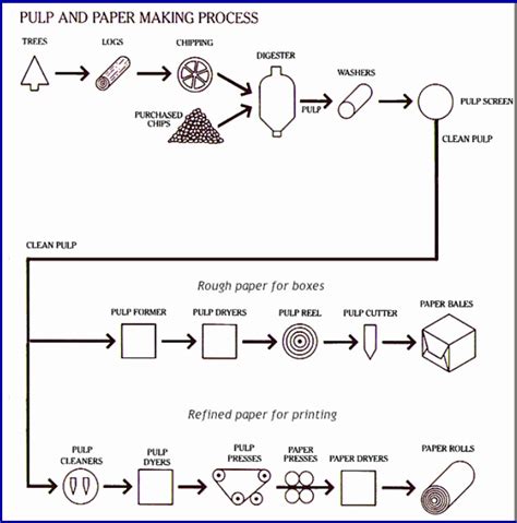 The Diagram Gives Information About the Process of Making Pulp and Paper