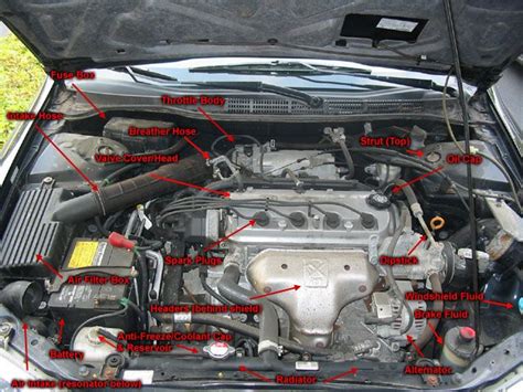 Under A Car Hood Diagram Simple