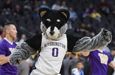 Washington Basketball: Huskies Pull Out A Tough Win