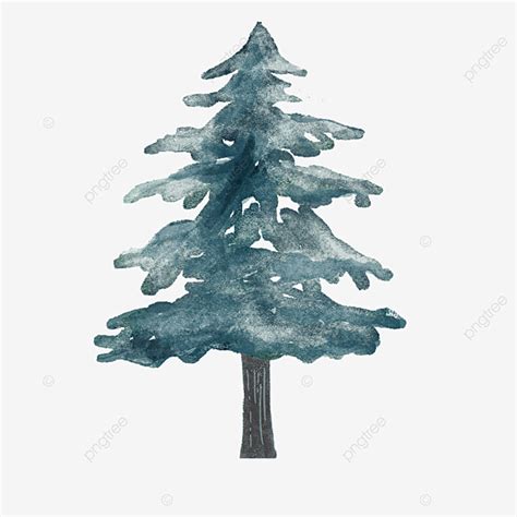 Pine Tree Watercolor PNG Picture, Pine Tree Watercolor Trees, Pine Tree ...