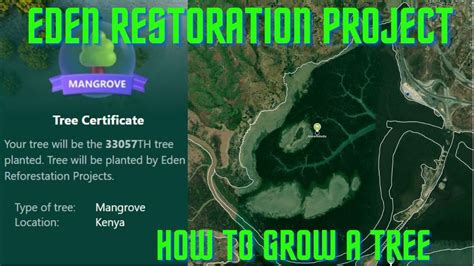 How to grow a Microsoft E Tree faster (Eden Restoration Project) - YouTube