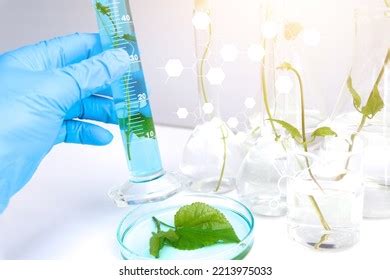 12,327 Biology Experiment Environment Stock Photos, Images & Photography | Shutterstock