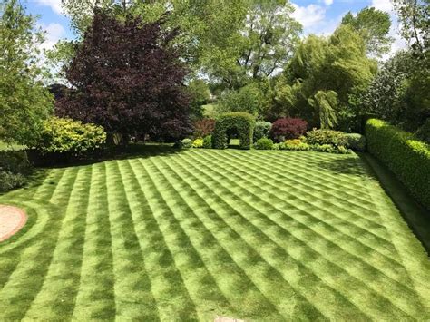 The pattern on this lawn makes it look 3D : r/mildlyinteresting