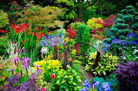 Flower gardens | Summer flowers garden, Beautiful gardens, Dream garden