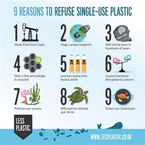 Why We Should Reduce, Reuse, and Recycle | Purple Turtle Co