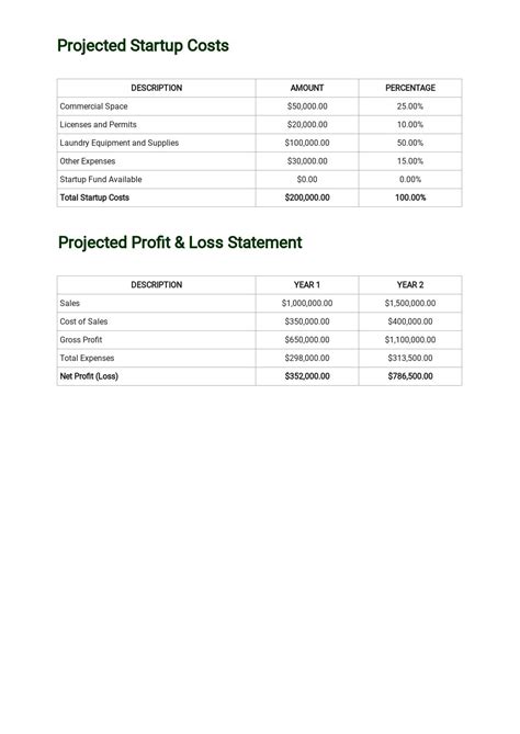 Free Laundromat Business Plan Template – PARAHYENA