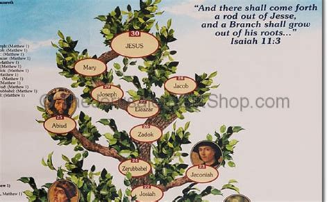 Biblical Family Tree Poster In 2021 Jesus Family Tree Bible Family Tree Family Tree Poster ...