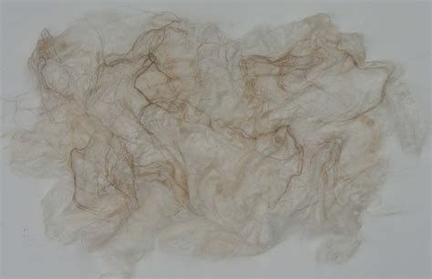 Silk Paper Making | Ruth Lane Art