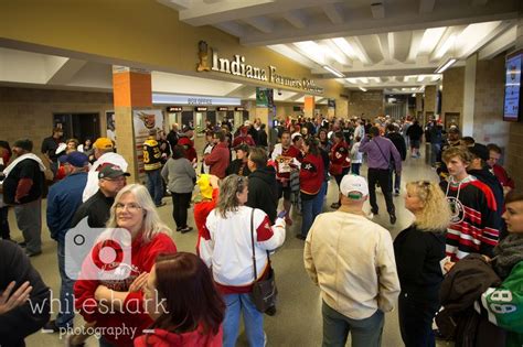 Indy Fuel, Toledo Walleye, Opening Night, Indiana, Hockey, Photography, Photograph, Field Hockey ...