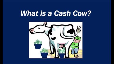 Cash Cow Meaning – Cow 101