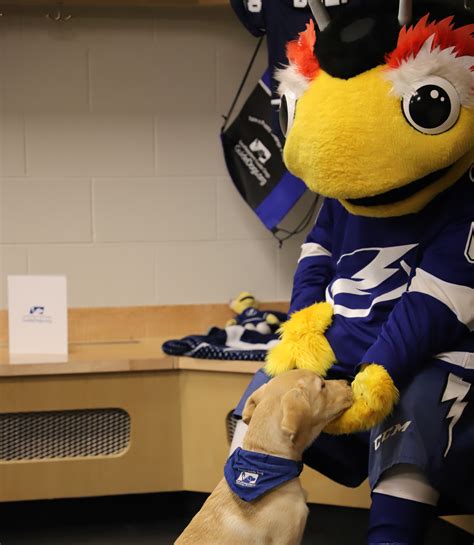 Tampa Bay Lightning Mascot - Takai Wallpaper