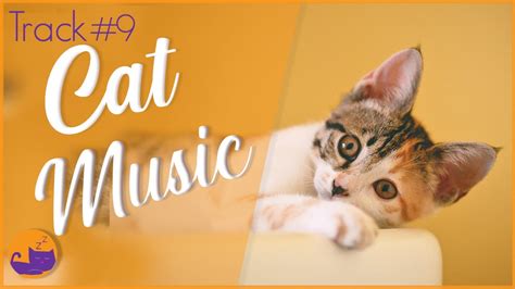 Music For Cats - Pet Relax Therapy