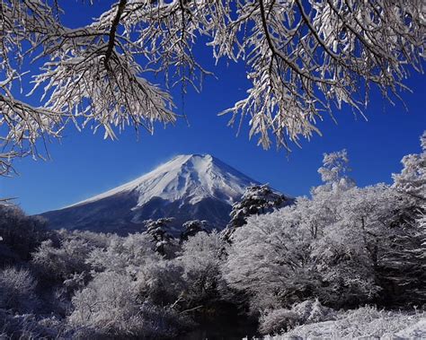 Mount Fuji, japan, snow, ice, trees, winter, landscape, HD wallpaper | Peakpx