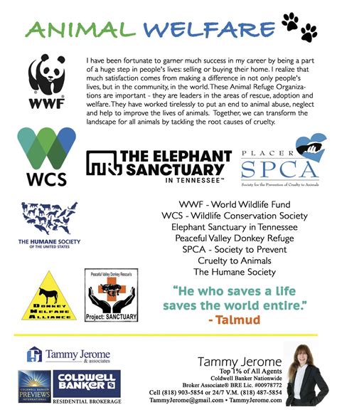 These are a few of my favorite animal charities..