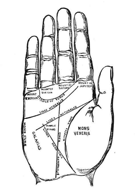 Palmistry Chart, 1885 Photograph by Granger