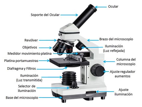 tenga en cuenta manual apagado partes del microscopio optico binocular recoger Cava Perseguir