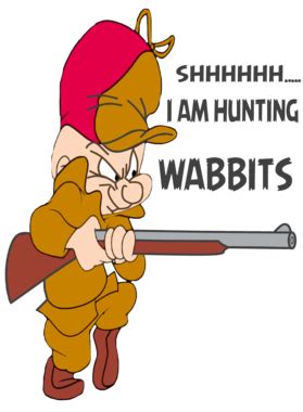 Elmer fudd hunting rabbit - tiklostream