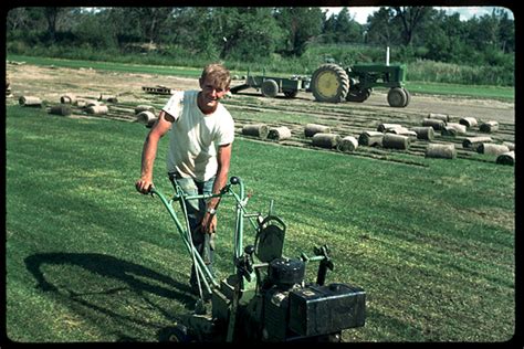 Rocky Mountain Sod Growers - About Sod Growers