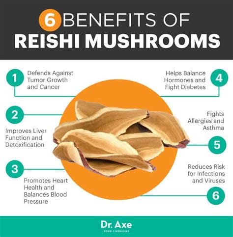 Reishi Mushroom Fights Cancer & Improves Liver Detox