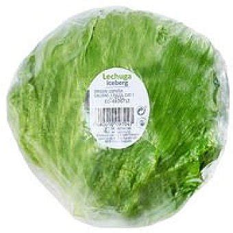 Lechuga Iceberg