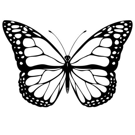 Free Monarch Butterfly Drawing, Download Free Monarch Butterfly Drawing png images, Free ...