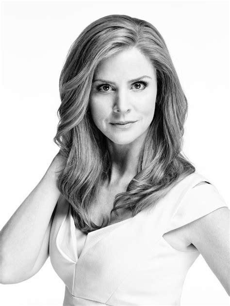 Donna Paulsen | Suits Wiki | Fandom