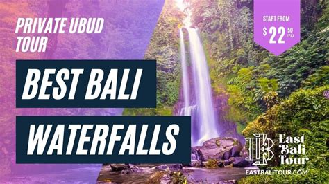 UBUD WATERFALLS TOUR > Best Bali Waterfalls > $ 39 /Car