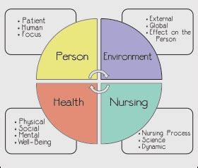 Nursing Theory | Transitions to Professional Nursing Practice