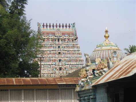 Vaitheeswaran Koil -Nadi Jothidam, And the Temple's Astrological Significance - Jothishi