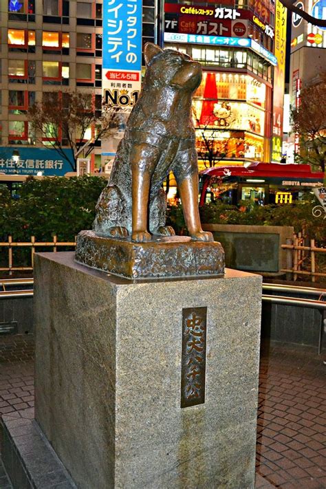 Hachikō Statue at Shibuya Station, Tokyo | Famous dogs, Statue, Dog movies