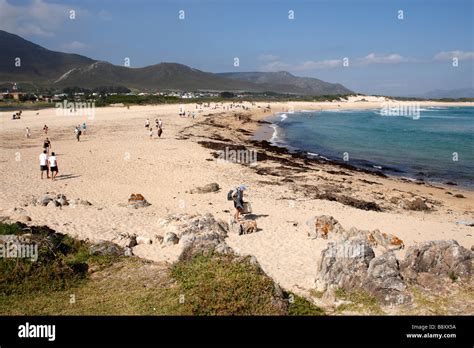 the beach at kleinmond overberg south africa Stock Photo - Alamy