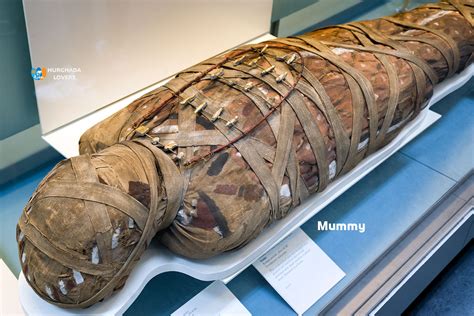 Mummy of the Pharaohs | Facts Mummification, Secrets