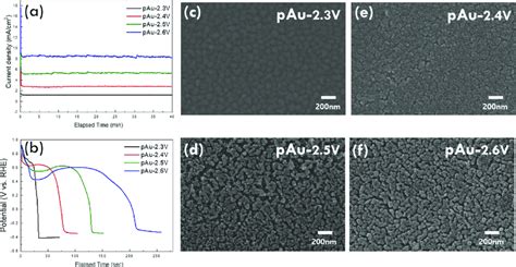 (a) Chronoamperometry plots for the as-deposited Au anodized at ...