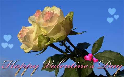 Roses Happy Valentine's Day ecard