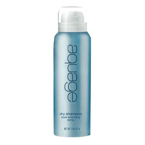 Dry Shampoo Style Extending Spray - Aquage | CosmoProf