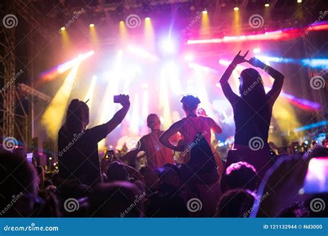 Portrait of Happy Crowd Enjoying at Music Festival Stock Photo - Image ...