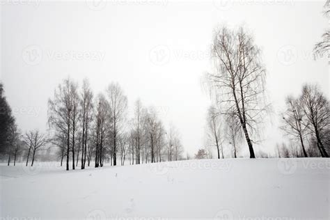 park in winter 9510119 Stock Photo at Vecteezy